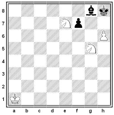 erlinger chess problem