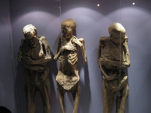 http://commons.wikimedia.org/wiki/File:Mummy04_guanajuato.jpg