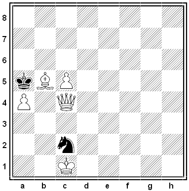 meyer chess problem