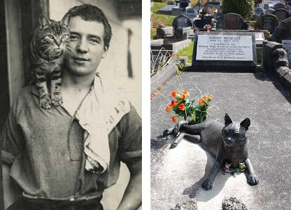 http://commons.wikimedia.org/wiki/File:Harry_McNeish_Gravestone_cat.jpg