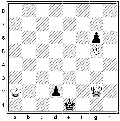 shinkman chess problem