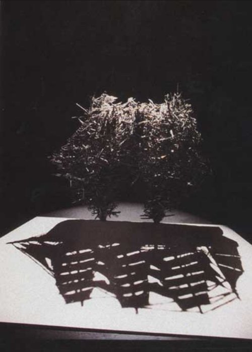 shigeo fukuda - one cannot cut the sea