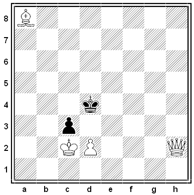 agnel chess problem