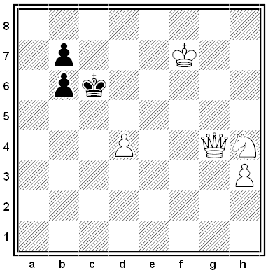 petkovic chess problem