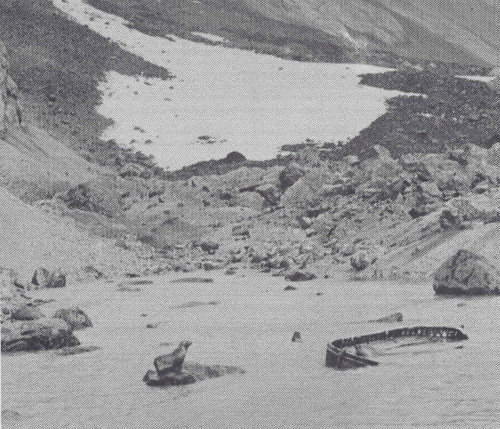 bouvet island lifeboat