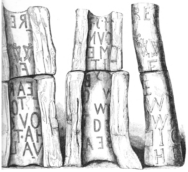 tree inscription