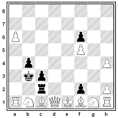kirtley chess problem - solution