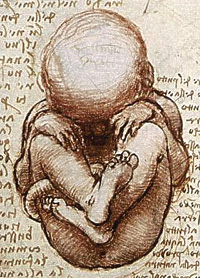 https://commons.wikimedia.org/wiki/File:Views_of_a_Foetus_in_the_Womb_detail.jpg