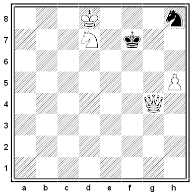 shinkman chess problem