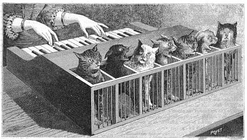https://commons.wikimedia.org/wiki/File:Cat_piano_1883.jpg