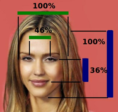 https://commons.wikimedia.org/wiki/File:Jessica_Alba_Face_Proportions.png