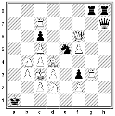 pradignat chess problem