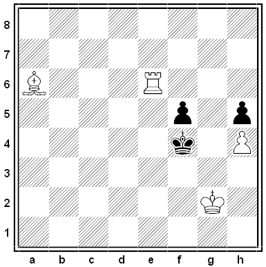 agnel chess problem