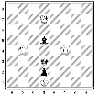 shinkman chess problem