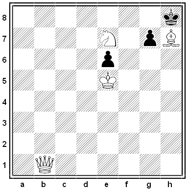 steinweg chess problem