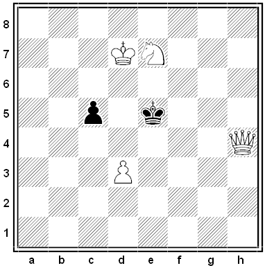 weenink chess problem