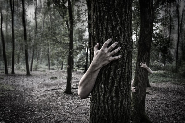 https://pixabay.com/en/hands-trunk-creepy-zombies-forest-984032/