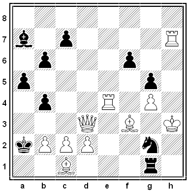 paluzie chess puzzle