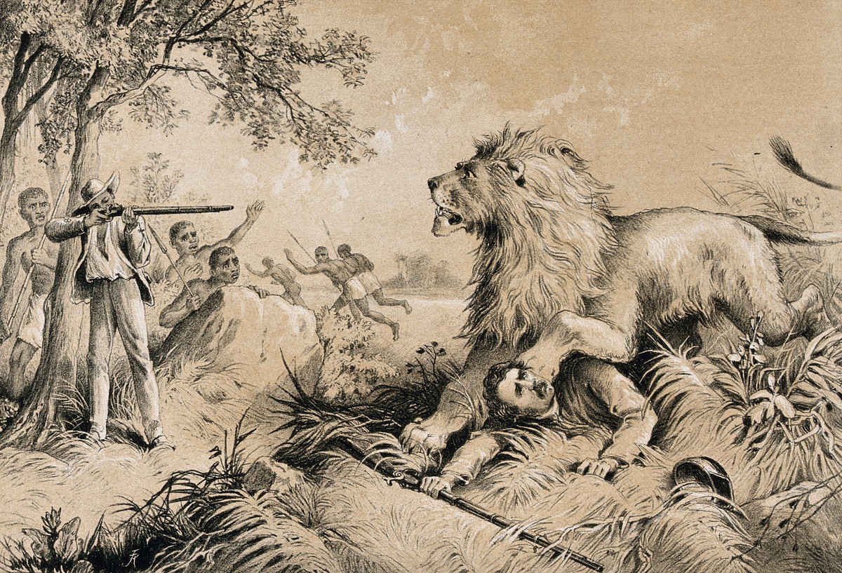 https://commons.wikimedia.org/wiki/File:David_Livingstone_attacked_by_a_lion_in_Africa._Lithograph._Wellcome_V0018847.jpg