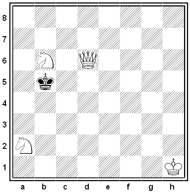 Florentine chess problem