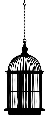 https://pixabay.com/en/birdcage-cage-bird-cage-black-1283871/