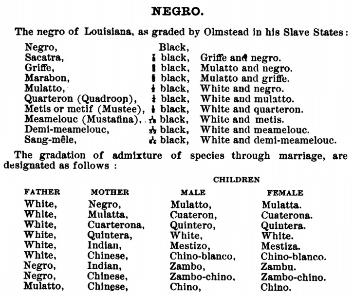 olmsted table