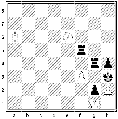 meyer chess problem