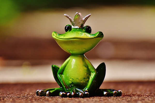 https://pixabay.com/en/frog-frog-prince-crown-fig-cute-1591896/