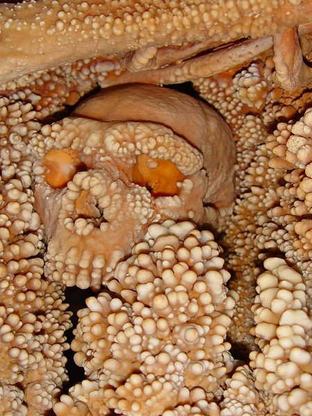 altamura man