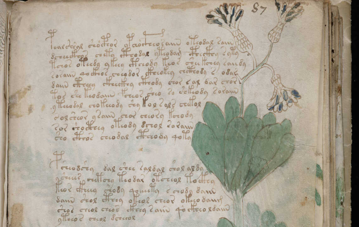 https://commons.wikimedia.org/wiki/File:Voynich_Manuscript_(159).jpg