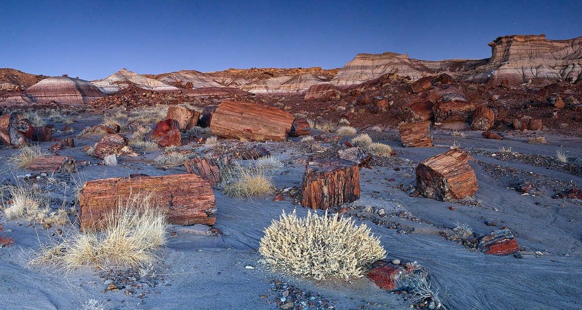 https://pixabay.com/en/landscape-scenic-petrified-forest-1591043/