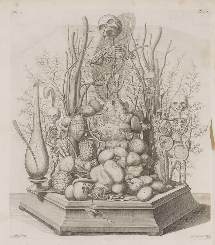 https://commons.wikimedia.org/wiki/File:Cornelius_Huyberts_Vanitas-Diorama_Frederik_Ruysch_1721.jpg