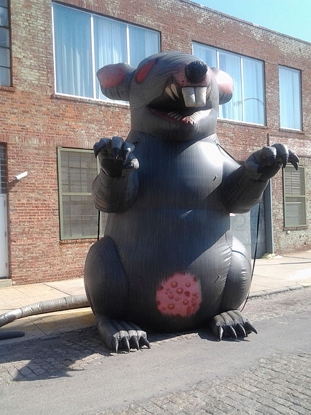 https://commons.wikimedia.org/wiki/File:Union-rat.jpg