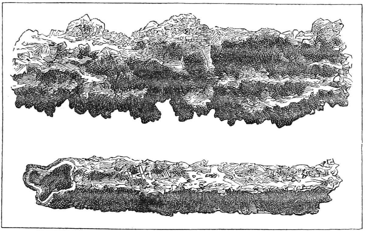 https://commons.wikimedia.org/wiki/File:PSM_V20_D677_Fulgurite_tubes_created_by_vitrification_of_sand_by_lighting.jpg