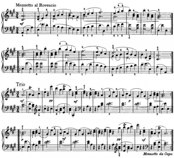 Double Duty Futility Closet