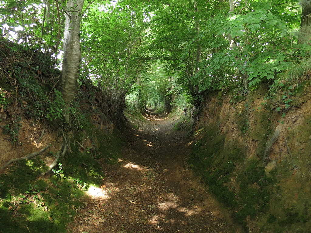 https://commons.wikimedia.org/wiki/File:La_Meauffe_-_Chemin_creux_1.JPG