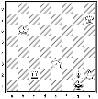 gottschall chess problem