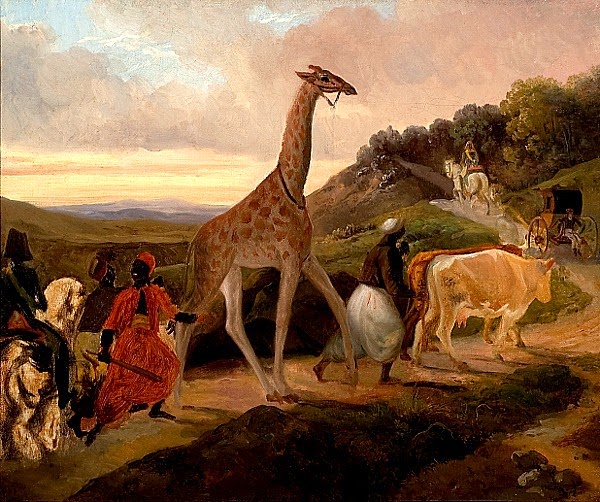 https://commons.wikimedia.org/wiki/File:Giraffe_Crossing_(1827)_by_Jacques_Raymond_Brascassat.jpg