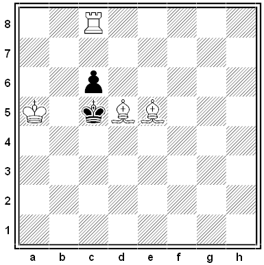 vorrath chess problem