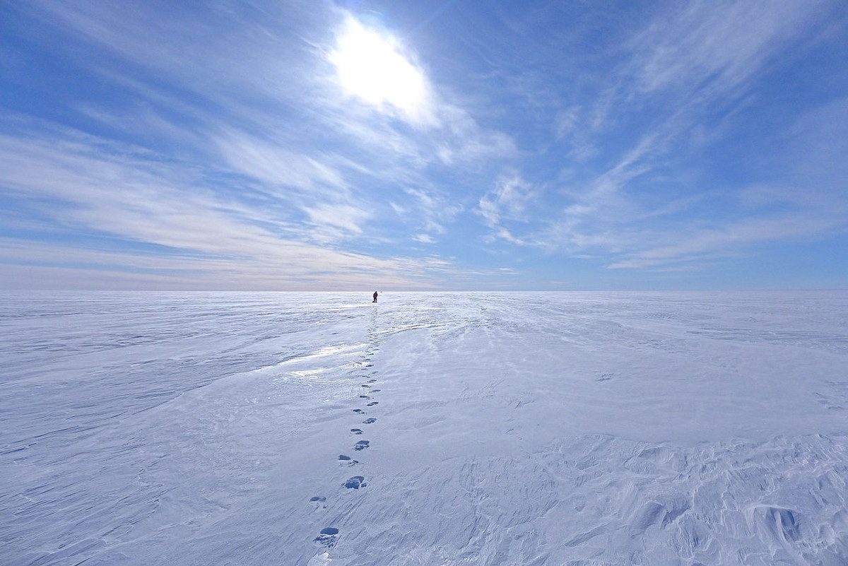 https://commons.wikimedia.org/wiki/File:Radar_transect_south_dome.jpg