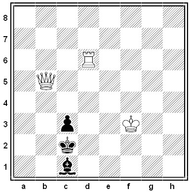 shinkman chess problem