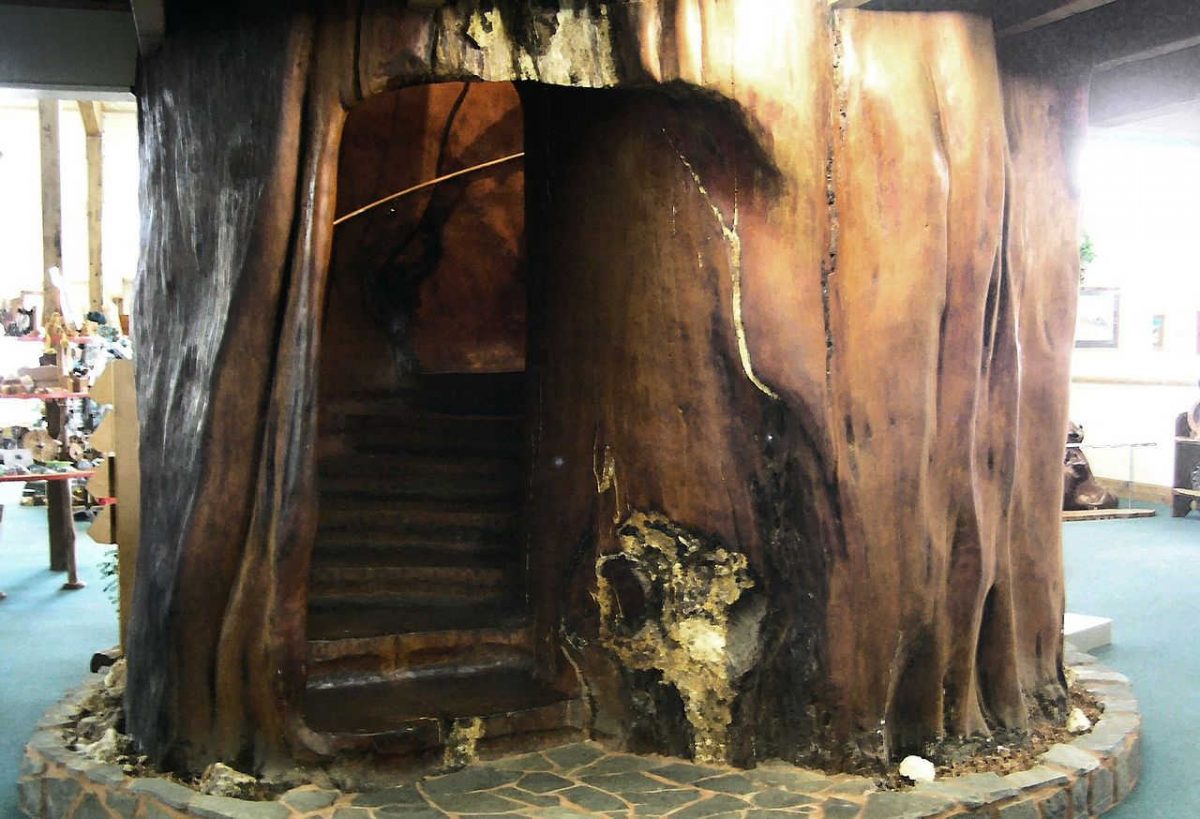 https://commons.wikimedia.org/wiki/File:Stairs_carved_into_an_ancient_kauri_trunk_(Ancient_Kauri_Museum).jpg