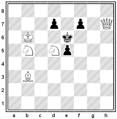 shinkman chess problem