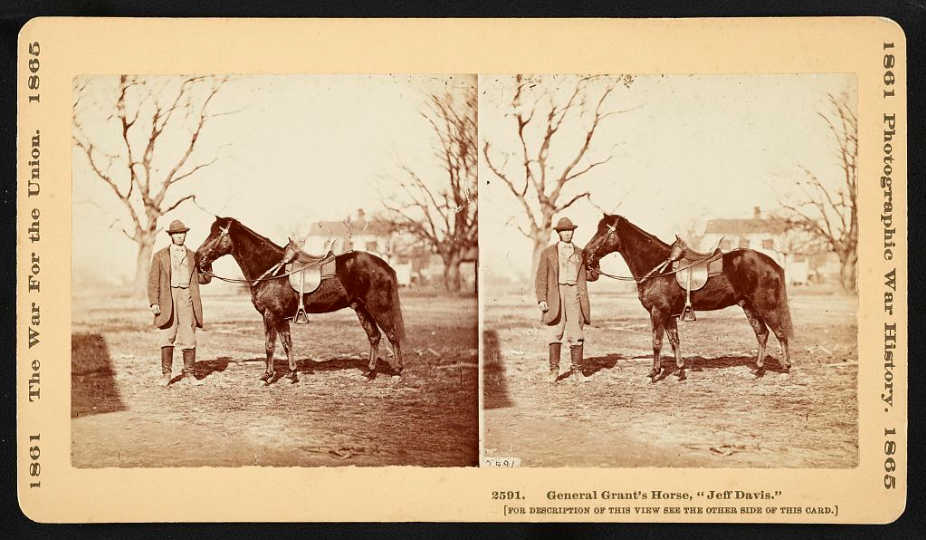 https://commons.wikimedia.org/wiki/File:Horse_Jeff_Davis.png