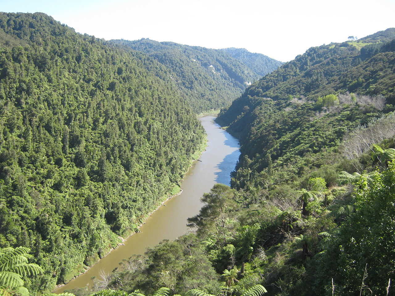 https://commons.wikimedia.org/wiki/File:Whanganui-River-01.jpg