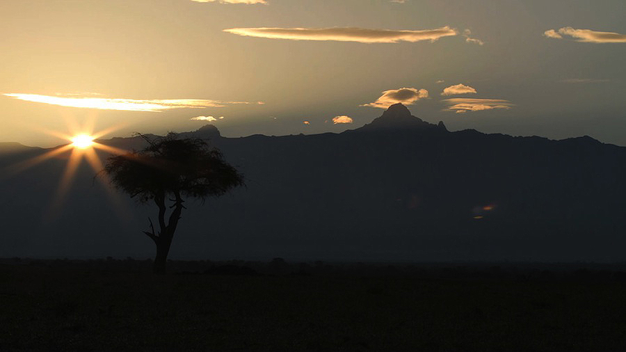 https://commons.wikimedia.org/wiki/File:OL_PEJETA_CONSERVANCY_-_01.jpg