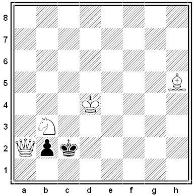 neuhaus chess problem