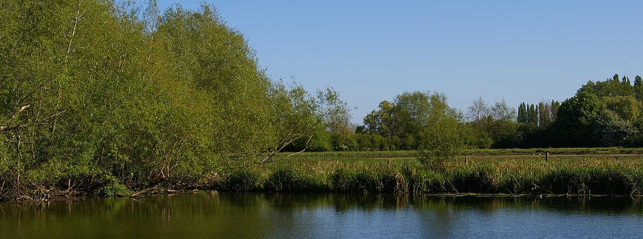 https://commons.wikimedia.org/wiki/File:Looking_across_the_Cherwell_at_Parsons_Pleasure_(geograph_5379091).jpg