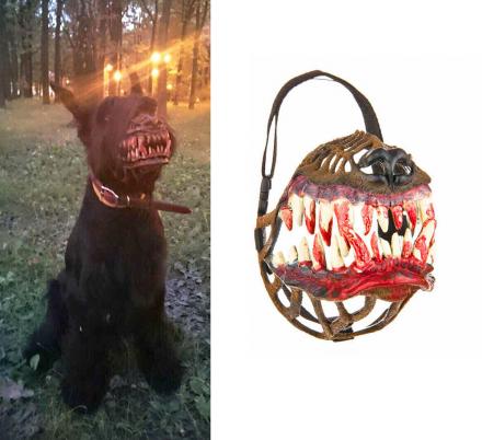 zveryatam dog muzzle