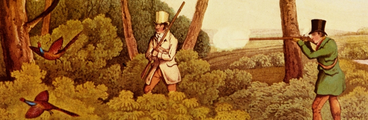 https://commons.wikimedia.org/wiki/File:Pheasant_Shooting_-_Henry_Alken.png